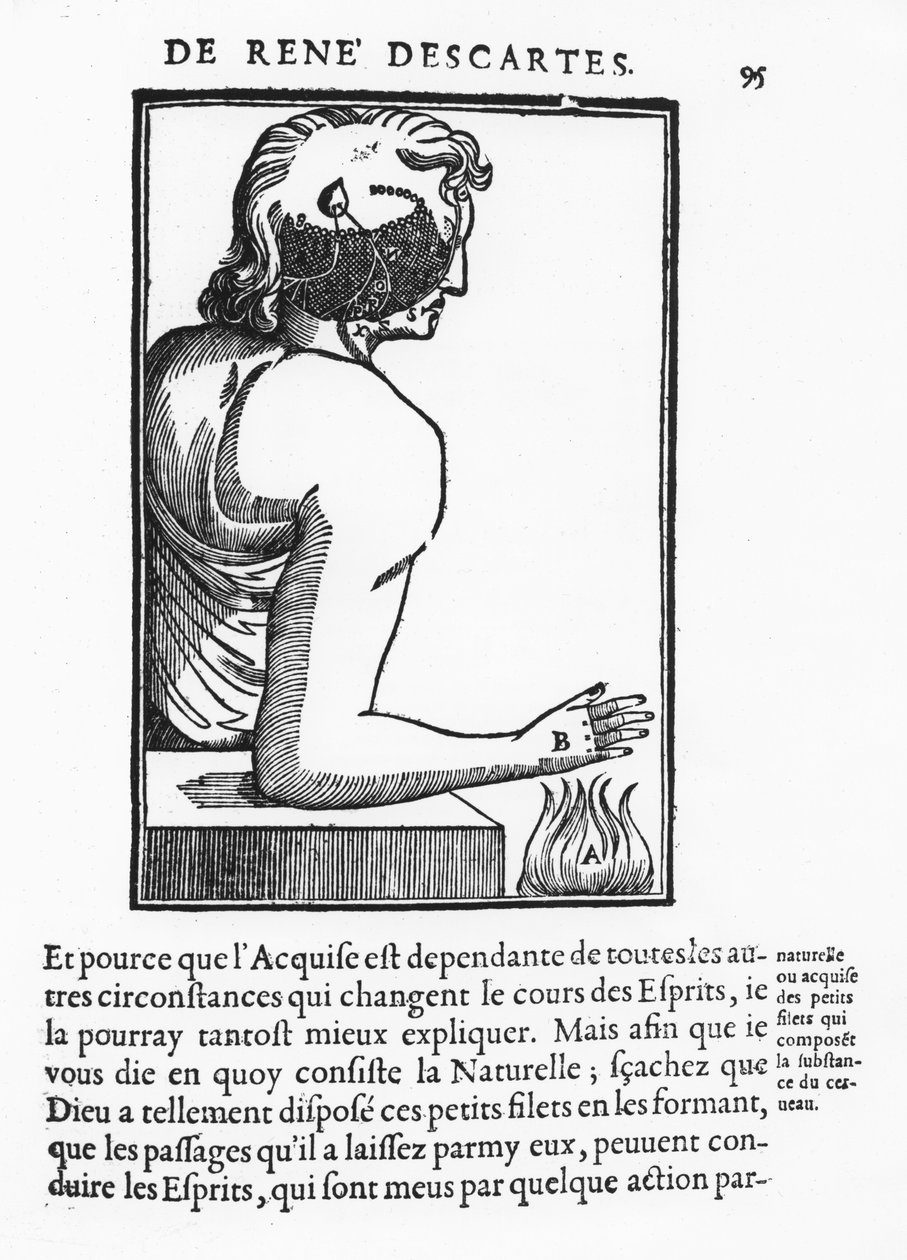 Sida från "Treatise on Man", av René Descartes av French School