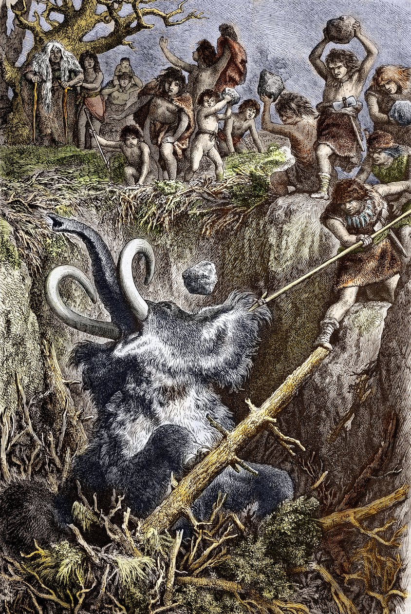 Paleolitikum: scen för mammutjakt, en stam av förhistoriska män kastar sten på ett mammutfall i en grop (paleolitisk tid: Europeiska grottmänniskor som jagar en mammut föll i en grop) Gravyr av 1800-talet Privatsamling av French School
