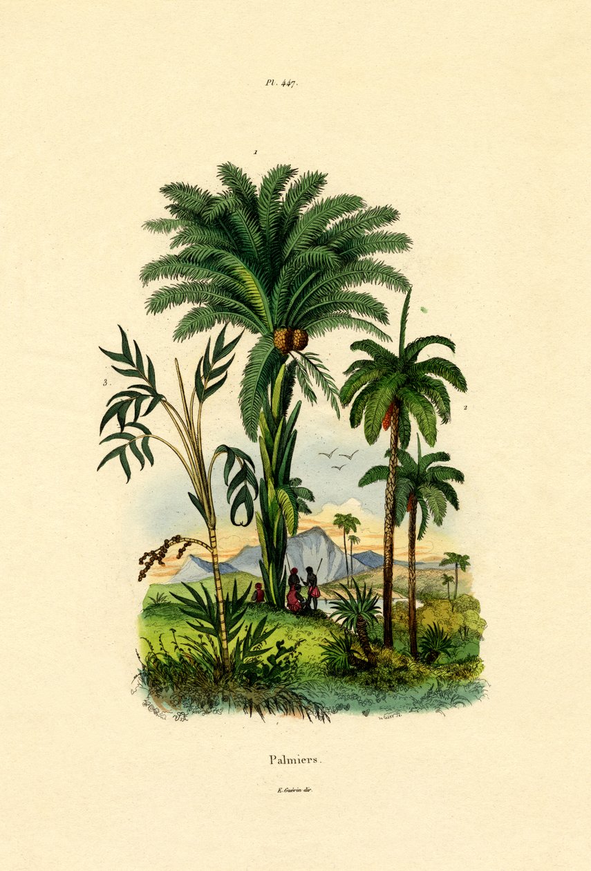 Palmer, 1833-39 av French School
