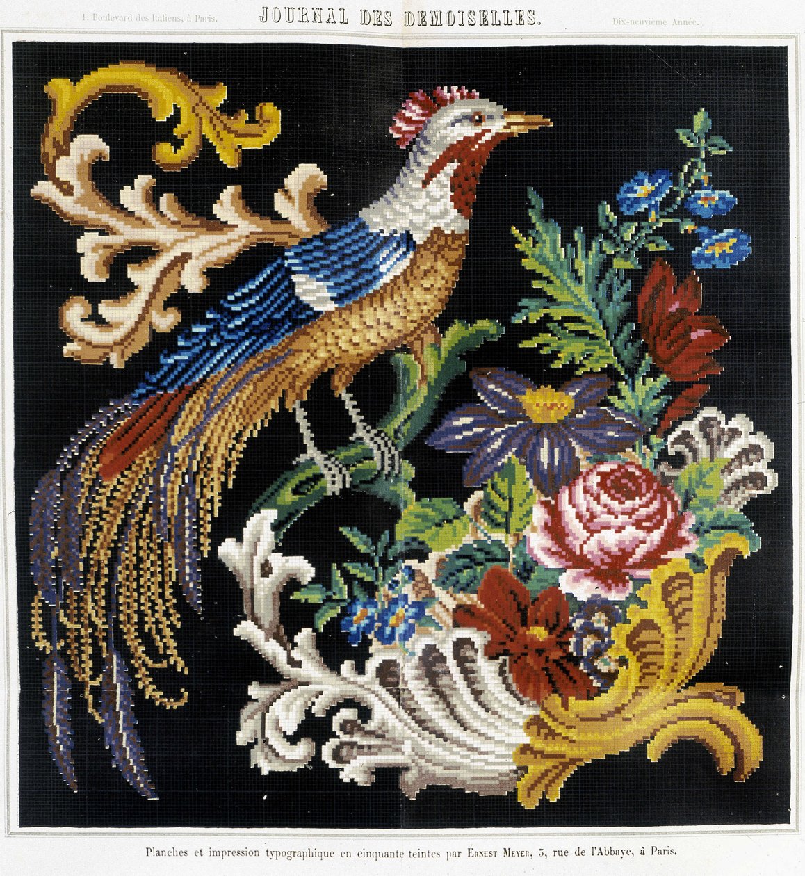 Mönster för korsstygnsbroderi (paradisfågel) - i "" Journal des Demoiselles"" 1852. av French School