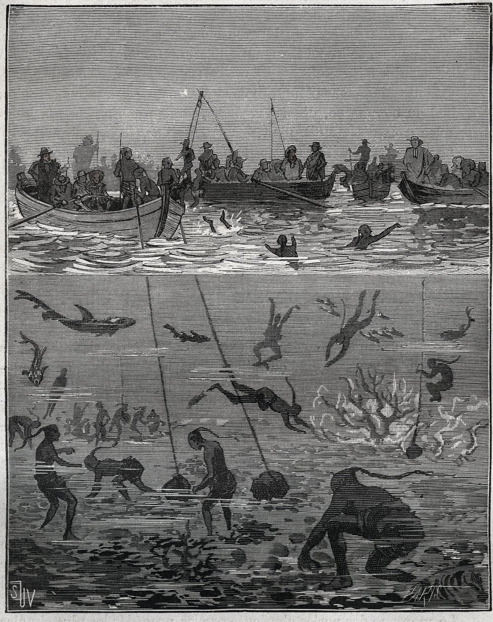 Pärlpersika i Ceylon (dagens Sri Lanka) på 1800-talet. Gravyr från 1885 i "" Les arts et metiers illustres"" av Adolphe BITARD. av French School
