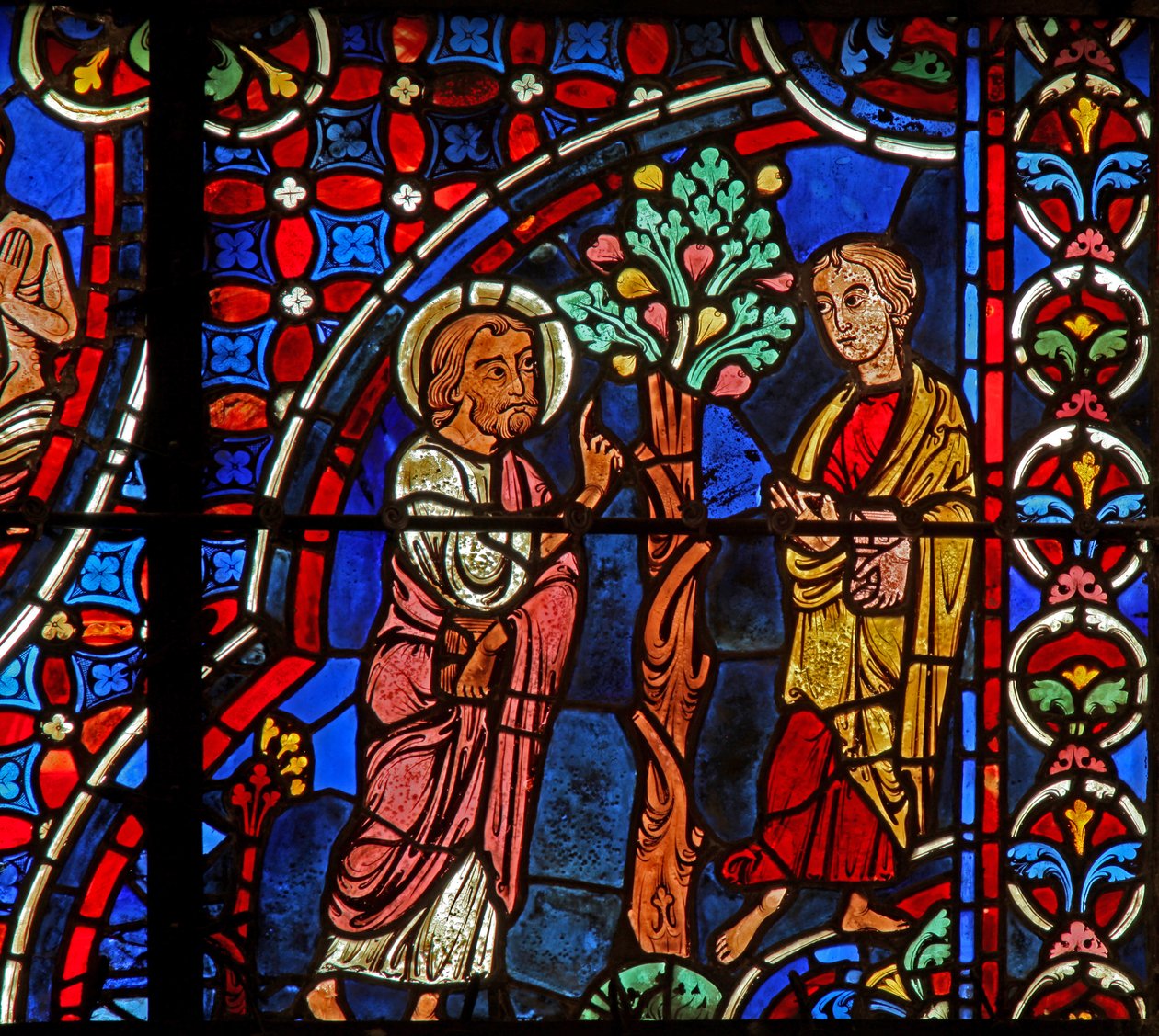 Philip, Nathaniel, fikonträd (w0) av French School