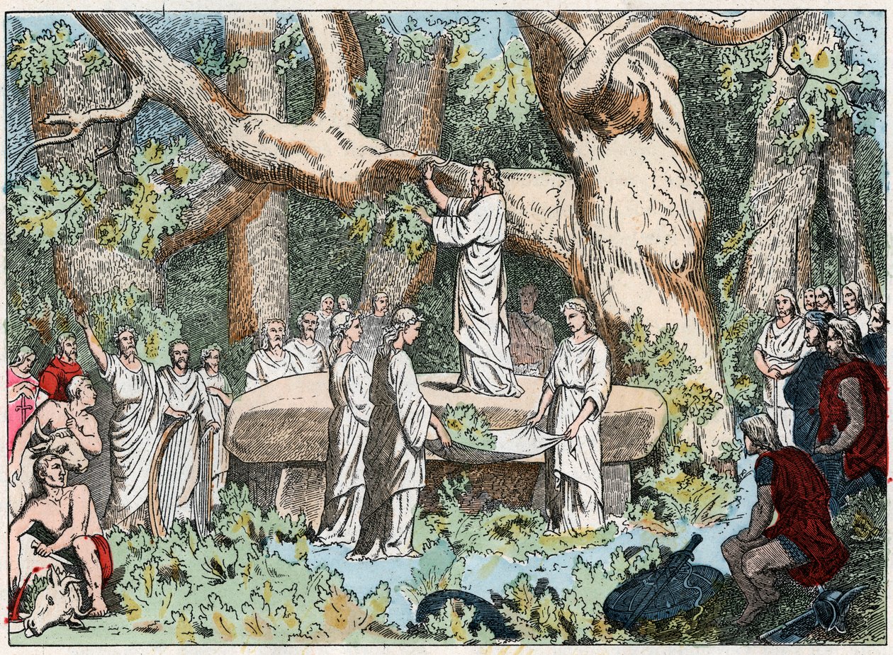 Plocka mistel från druiderna i Gallien, slutet av 1800-talet (gravyr) av French School