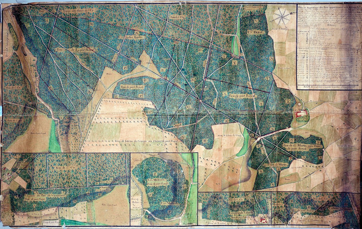 Planera och kartlägga skogen som tillhör nunnorna i Port Royal des Champs (Port-Royal-des-Champs) 1723 Paris, Archives nationales av French School