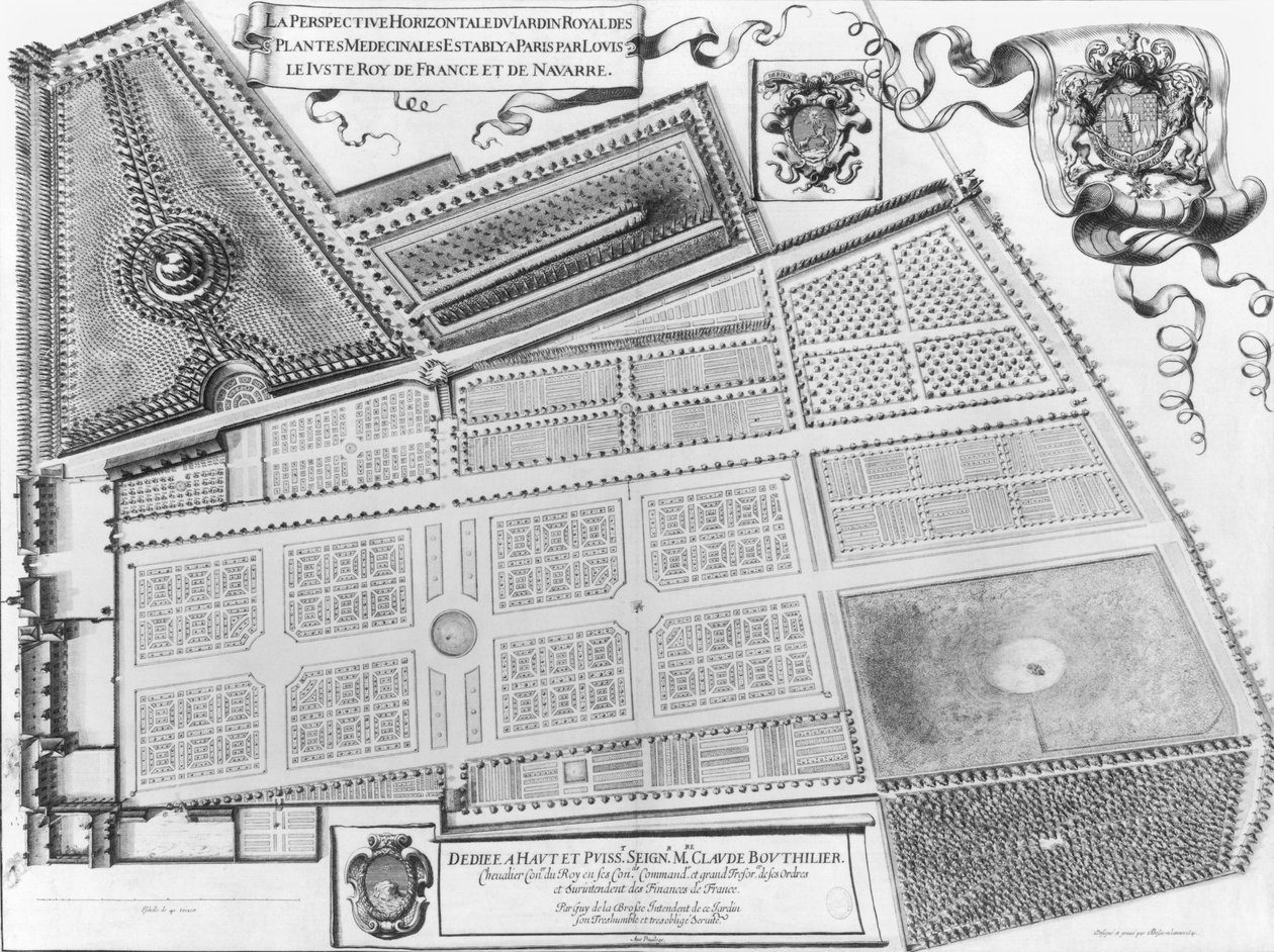 Plan över den kungliga trädgården för medicinalväxterna i Paris, 1641 av French School
