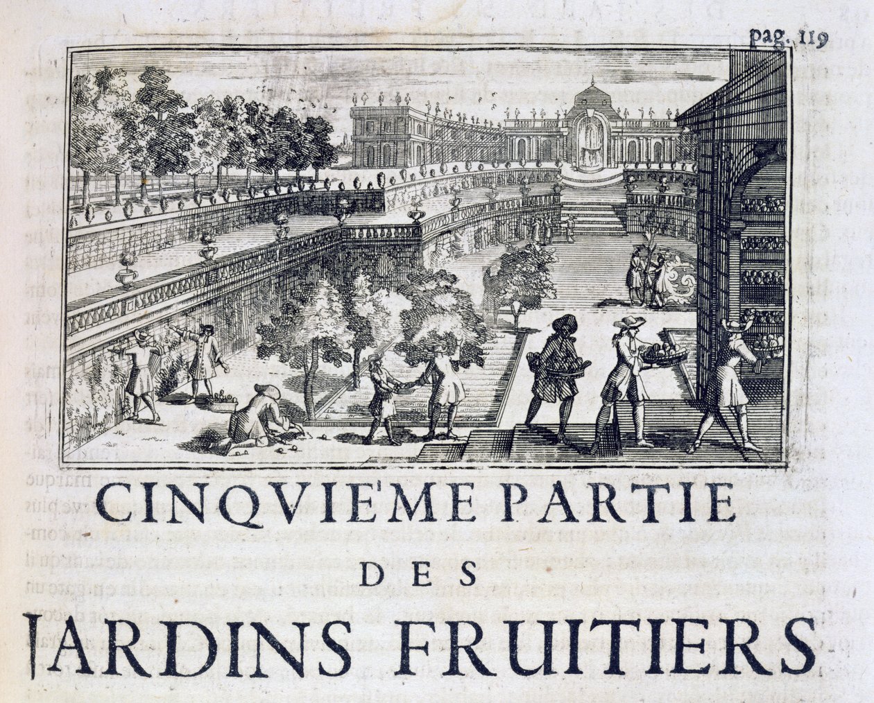 Plantera fruktträd, från Le Parfait Jardinier, ou Instruction pour les Jardins Fruitiers et Potager, av Jean de la Quintinye, publicerad 1695 av French School