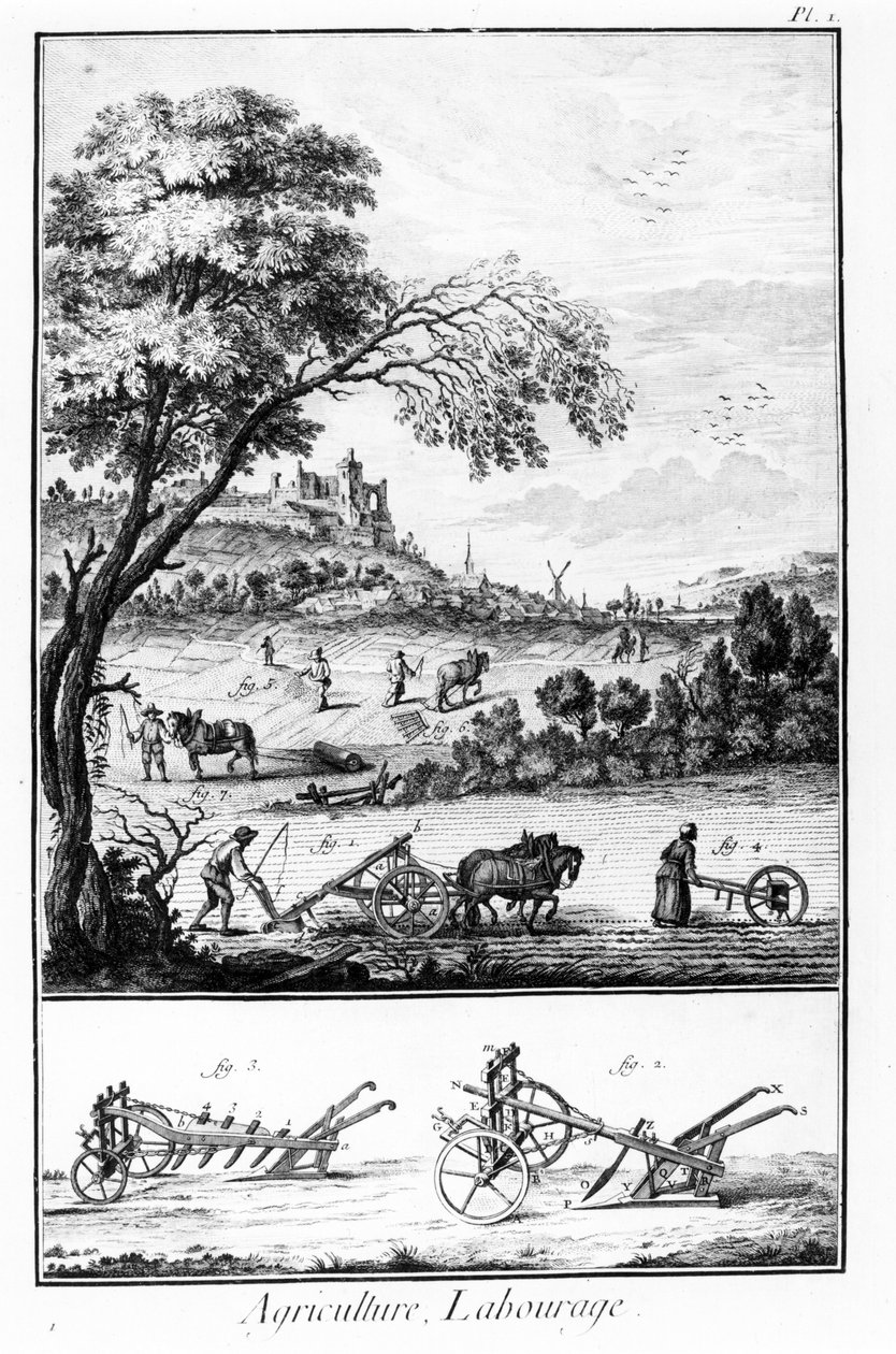 Platta av Encyclopedia of Diderot och Alembert: Jordbruk och plöjning. 1700-talet. av French School