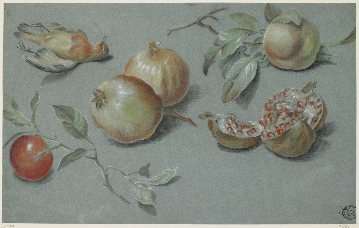 Granatäpplen och död fågel, tidigt 1800-tal (krita på papper) av French School