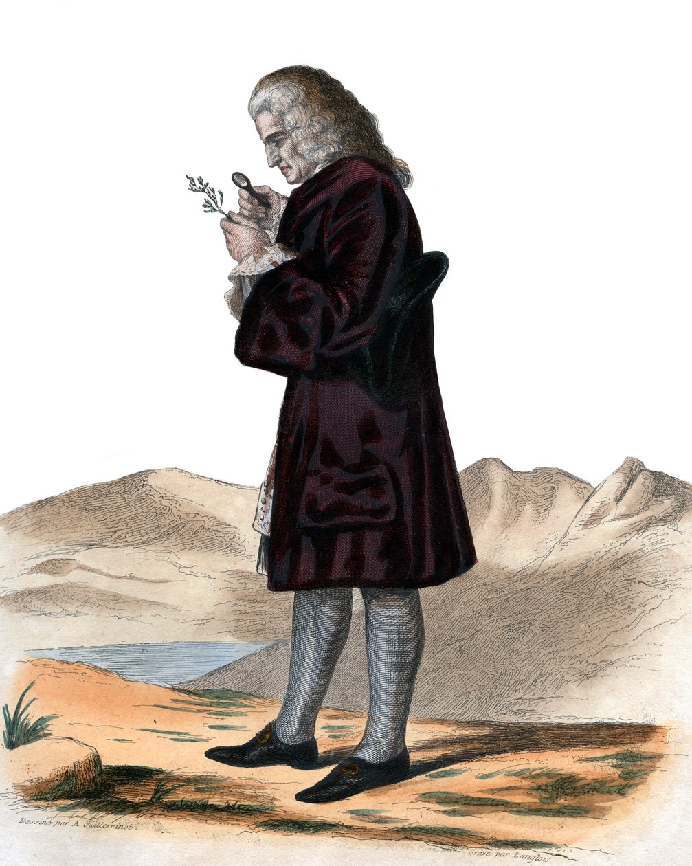 Porträtt av Bernard de Jussieu (1699-1777), fransk naturforskare. av French School