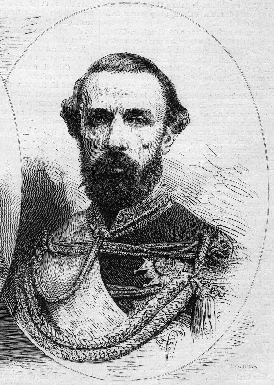 Porträtt av Karl XV (Karl XV av French School