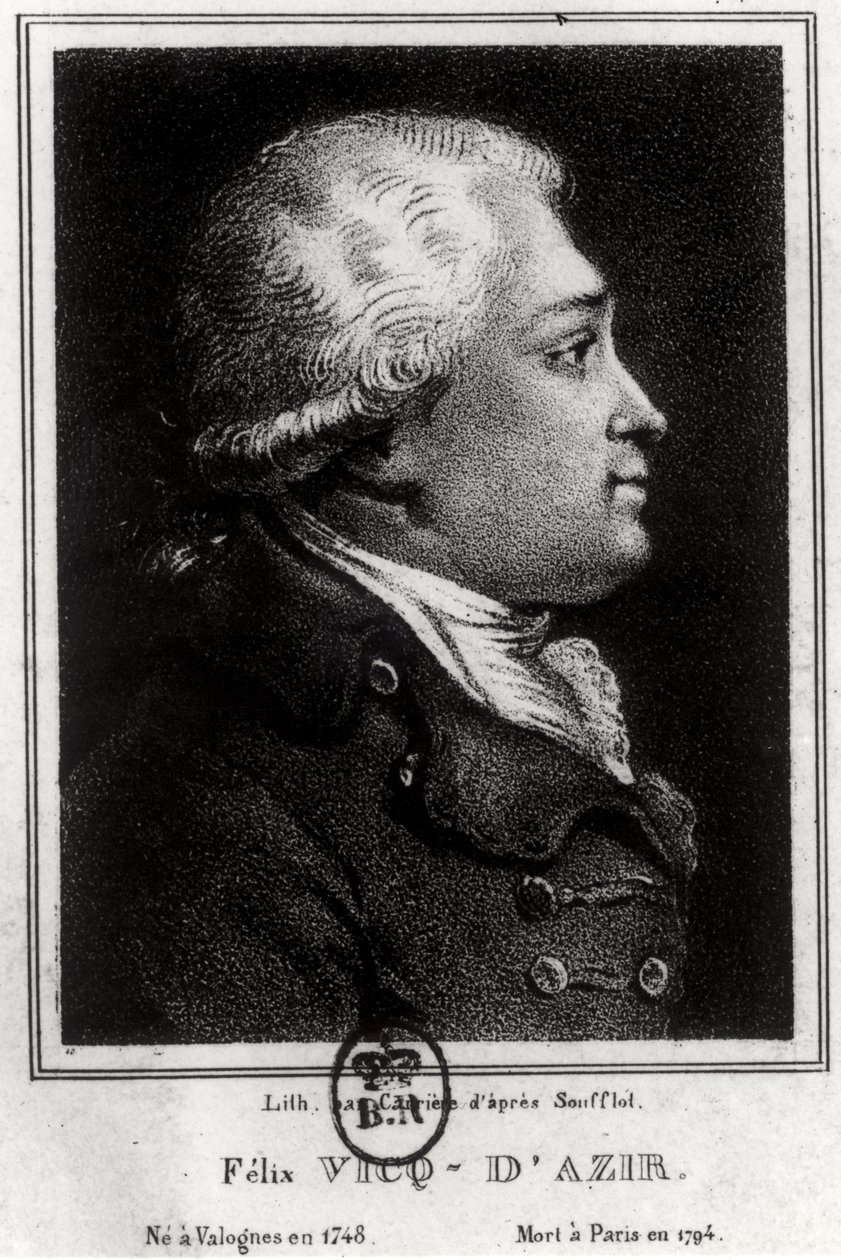 Porträtt av Felix Vicq dAzyr (1748-94) av French School