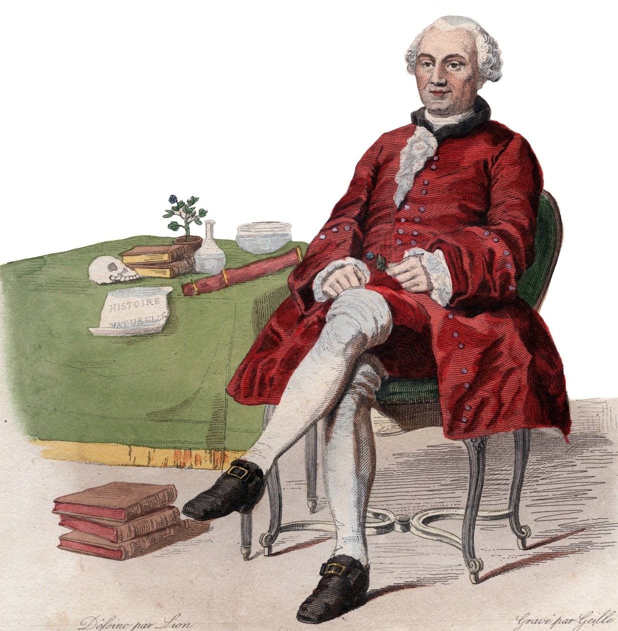 Porträtt av Georges Louis Leclerc, Comte de Buffon (1707-1788), fransk naturforskare. av French School