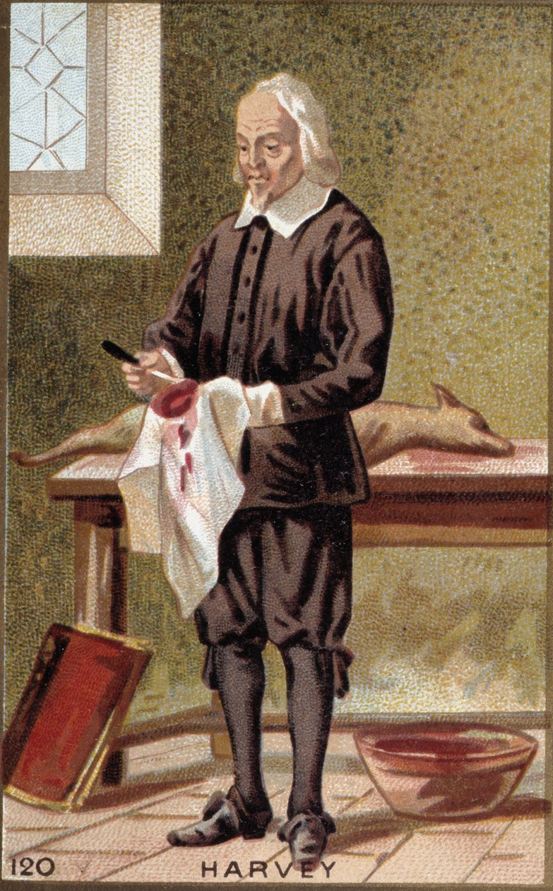 Porträtt av William Harvey (1578-1657), engelsk läkare. av French School
