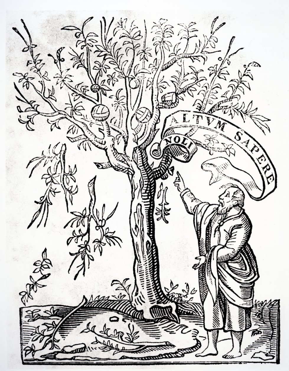 Skrivares emblem av Robert Estienne, Paris, 1526 av French School