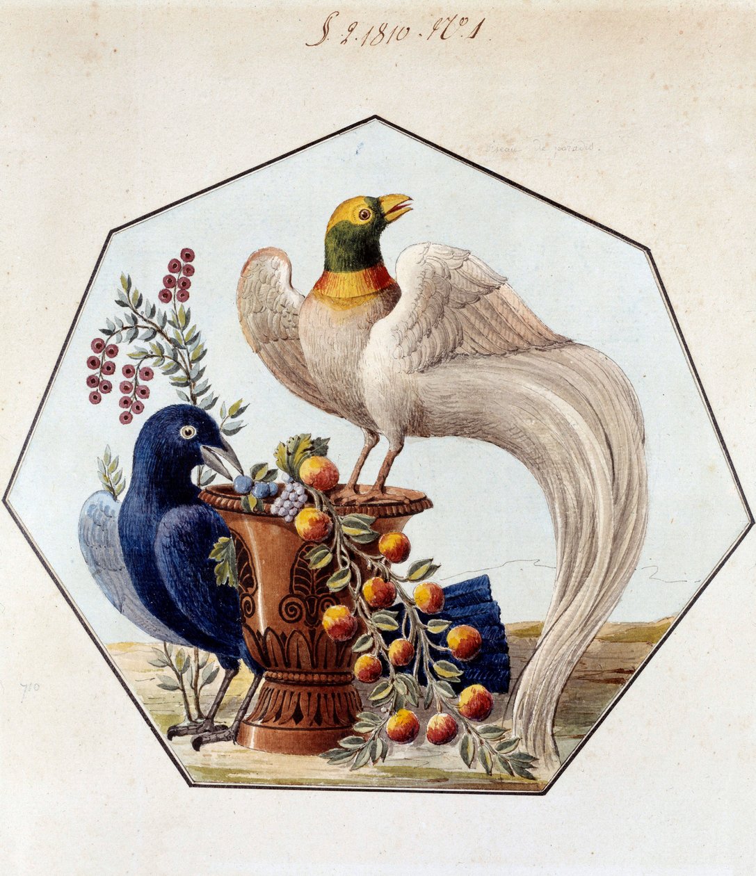 Projekt för fågelbordet i porslin av Alexandre Brongniart (1770-1847). 1810 Sevres, arkiv från Manufacture de Sevres av French School