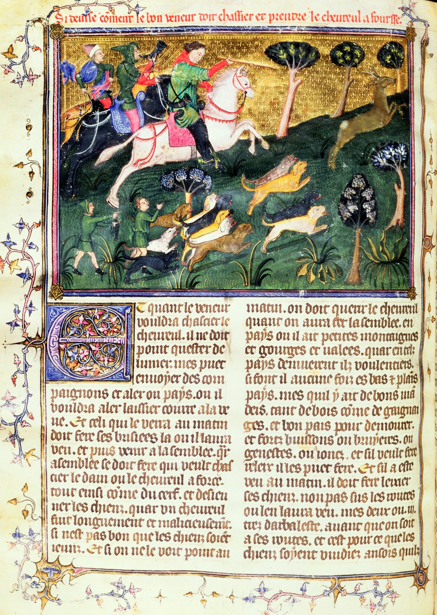 Jakten på en råbock, från Livre de la Chasse, originaltext skriven av Gaston III, Comte de Foix Phebus le Chasseur (1331-91) Avignon, 1387-89 (gouache på pergament) av French School