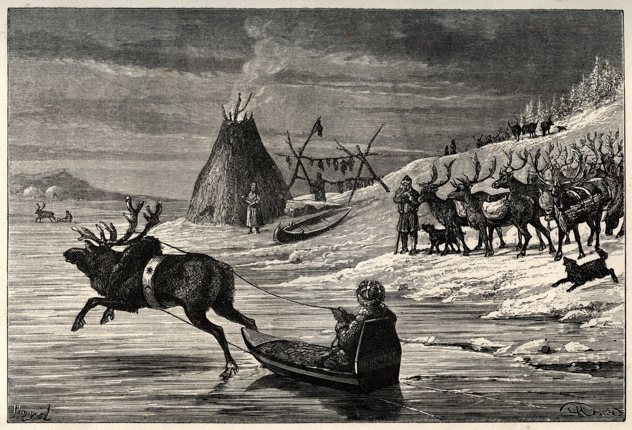 Renhjord i Lappland - gravyr från "" The Man and the Bete" av Arthur Mangin - 1872 - av French School