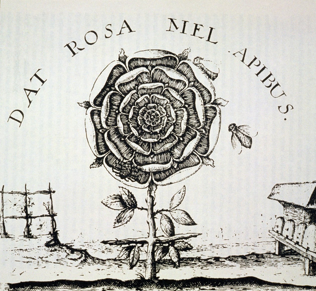 Rosicrucian Allegory, kopia av en gravyr av Johann Theodore de Bry (ca 1598), använd i en magihistoria, publicerad i slutet av 1800-talet av French School