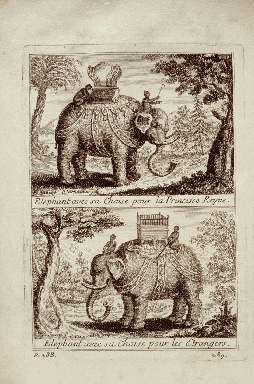Kungliga elefanter, från Voyage du Siam des Peres Jesuites av Guy Tachard, 1688 av French School