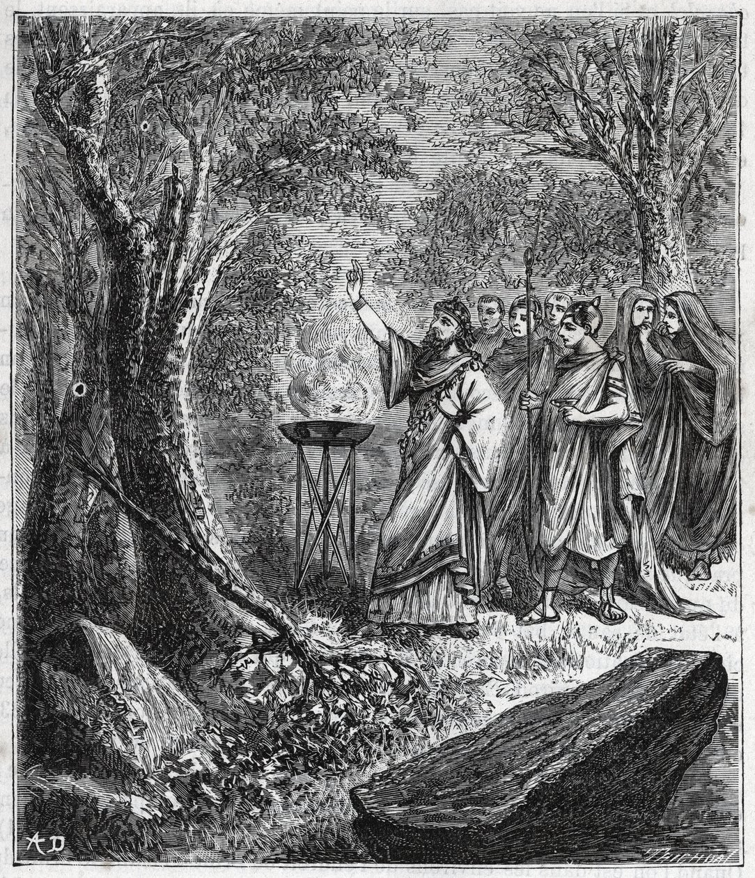 STRUFERTARI (fest i det antika Rom för att rena de sprängda träden) - Gravering i "" Vetenskaper som kommit till alla - populär fysik och kemi"" av Alexis Clerc - Slutet av 1800-talet. Privat samling. av French School