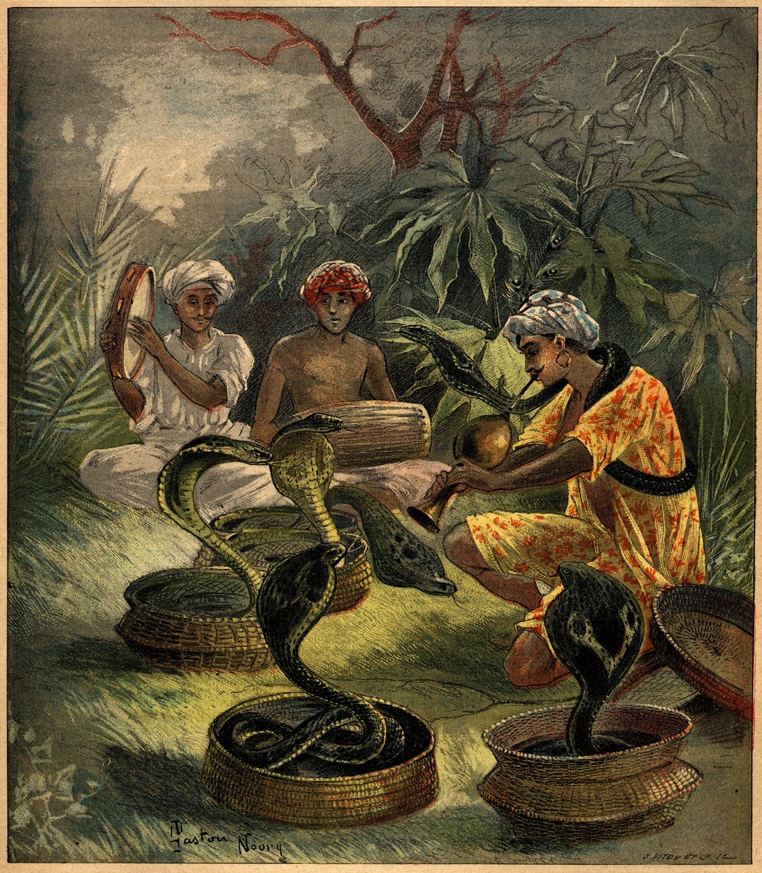 Ormtjusare (kobror) i Indien. Gravyr i "La Terre Illustree"" nr 94 av 18 augusti 1892. av French School