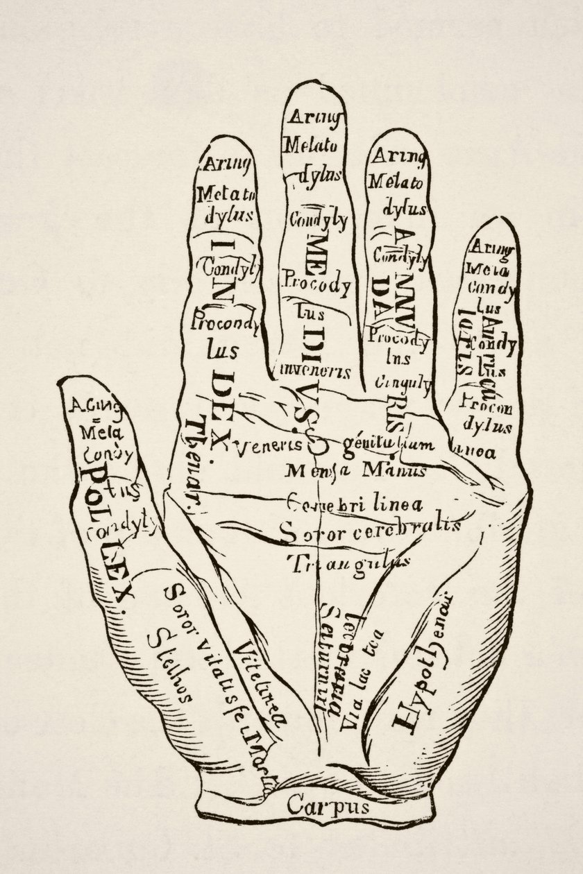 Exemplar av vänster hand med linjerna och deras horoskopiska valörer, från Science and Literature in The Middle Ages av Paul Lacroix pub. London 1878 av French School