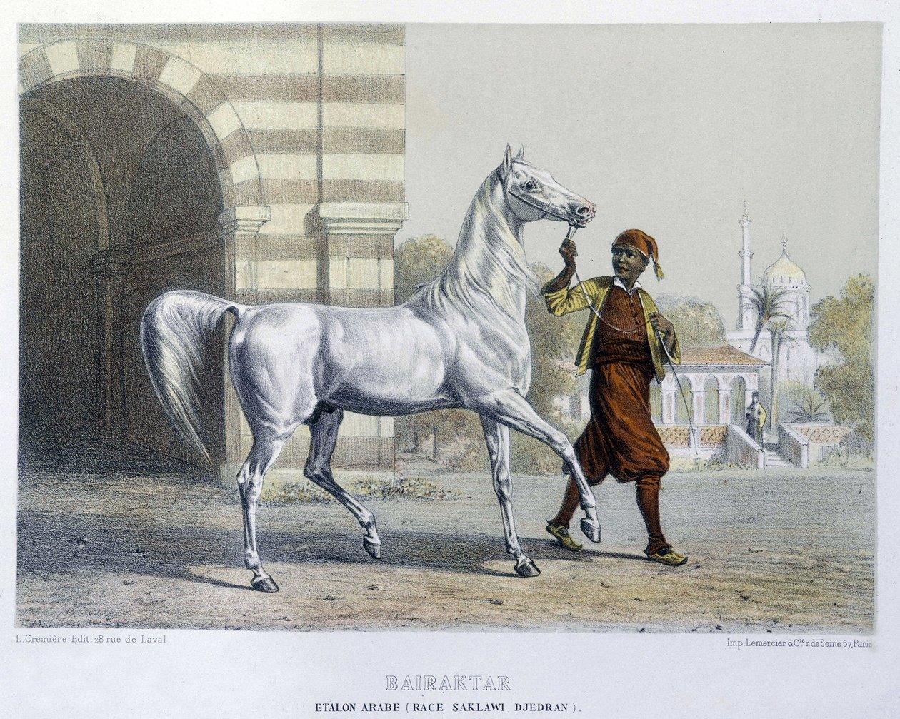 Stalon arabiska, Bairaktar av French School