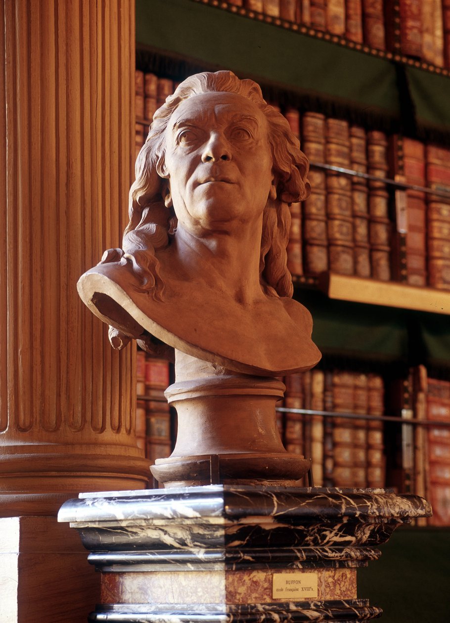Staty av Buffon, Mazarine Library. av French School