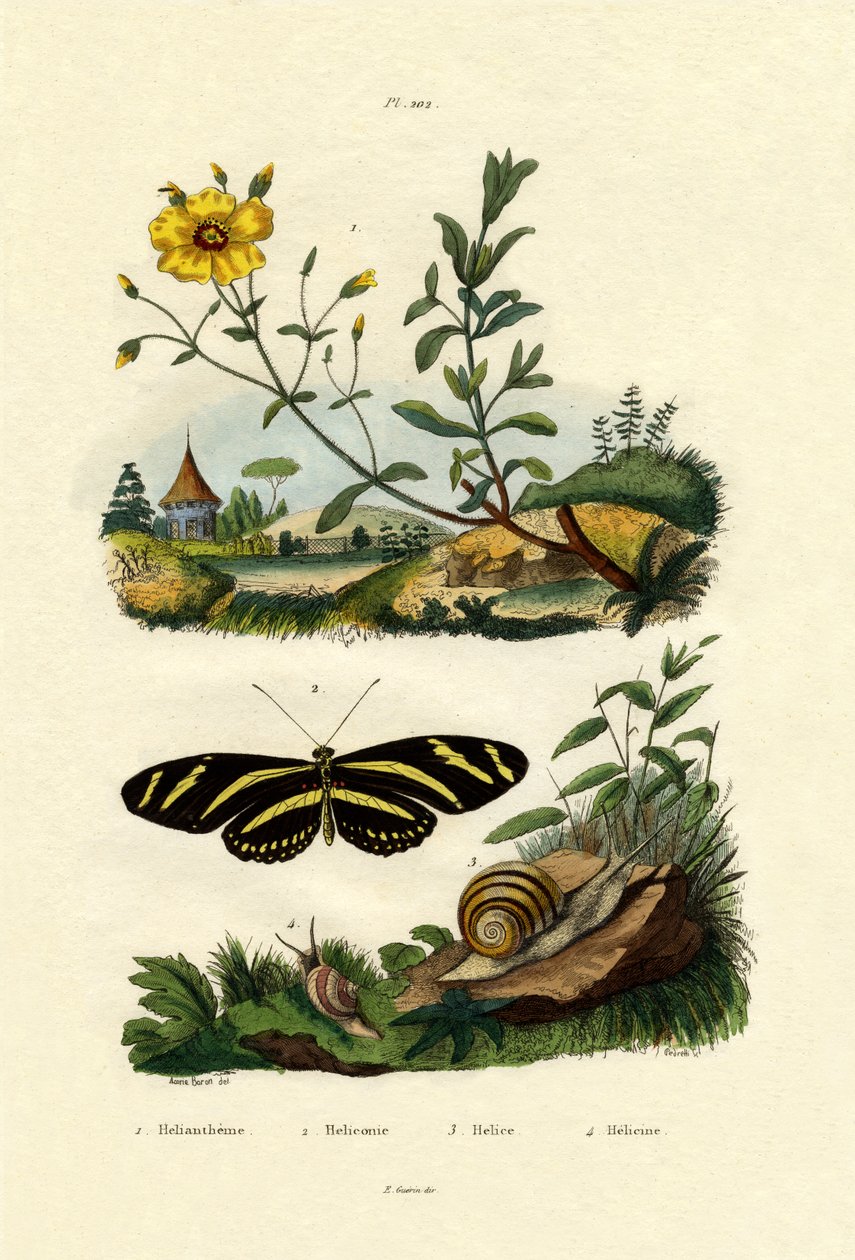 Soluppgång, 1833-39 av French School