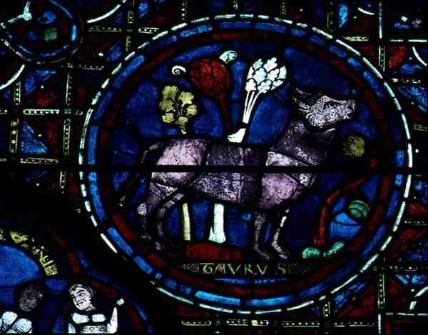 Oxen, från zodiakens fönster av French School