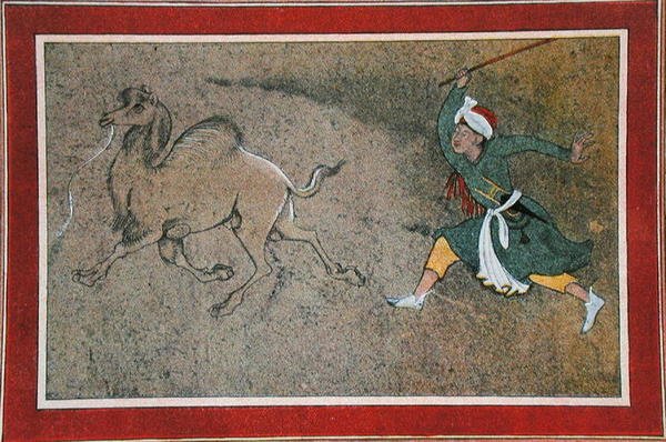 The Angry Camel Driver, illustration från "The Arabian Nights" av French School