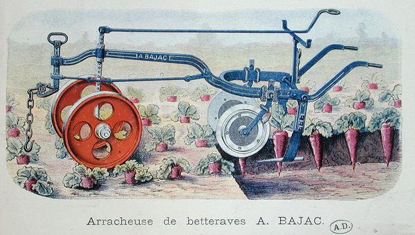 Bajac-maskinen för att lyfta rödbetor, ca 1900 (färggravyr) av French School