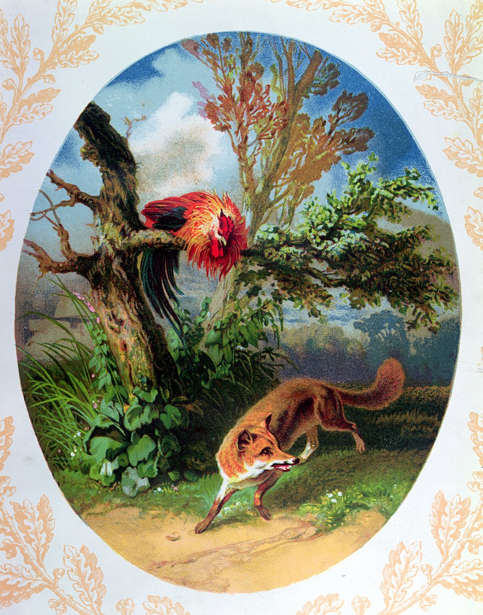Tuppen och räven, illustration efter fabeln av Jean de la Fontaine (1621-95) c.1860-80 av French School