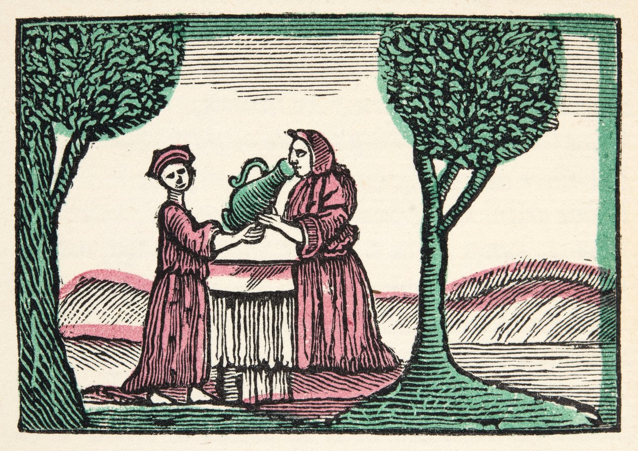The Fairy from Histories or Tales of Past Times berättad av Mother Goose, With Morals, av M Perrault, pub. 1925 (handfärgat träblockstryck) av French School