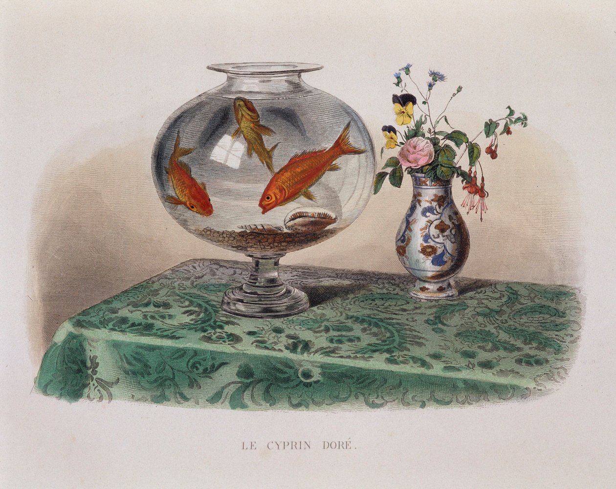 Guldfisken (guldfisk i deras burk) - i "" Lacepede"" av French School