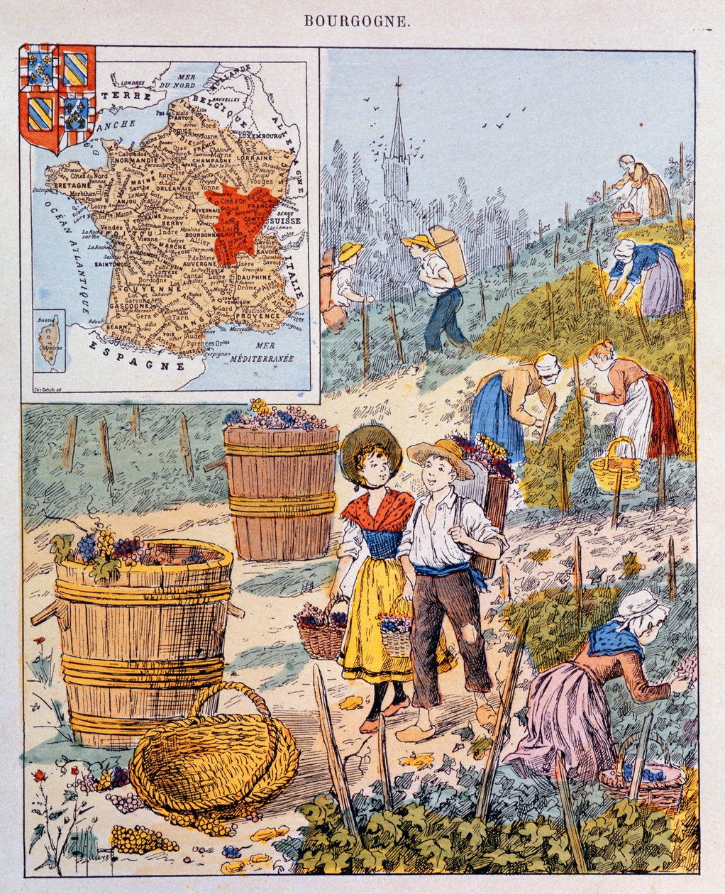 Druvskörden i Bourgogne, illustration från en skolbok, c.1910 av French School