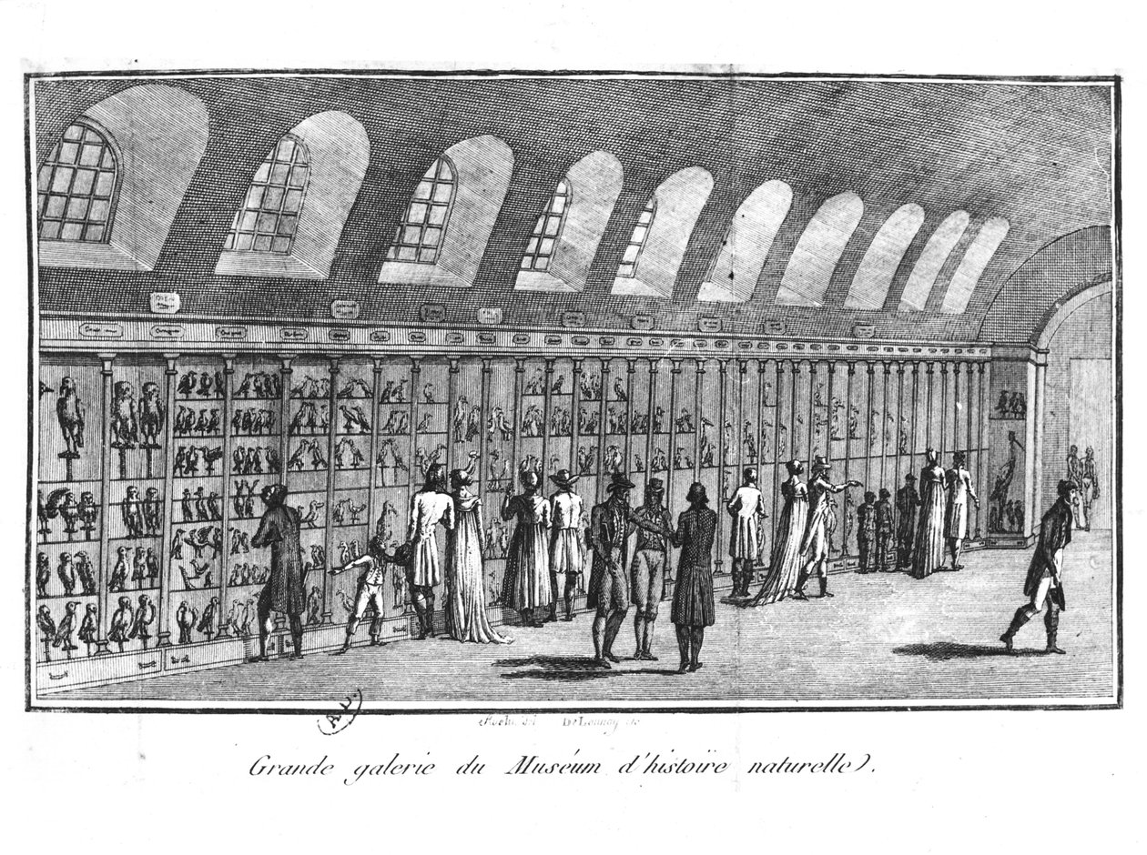 Det stora galleriet på Naturhistoriska museet i Paris av French School