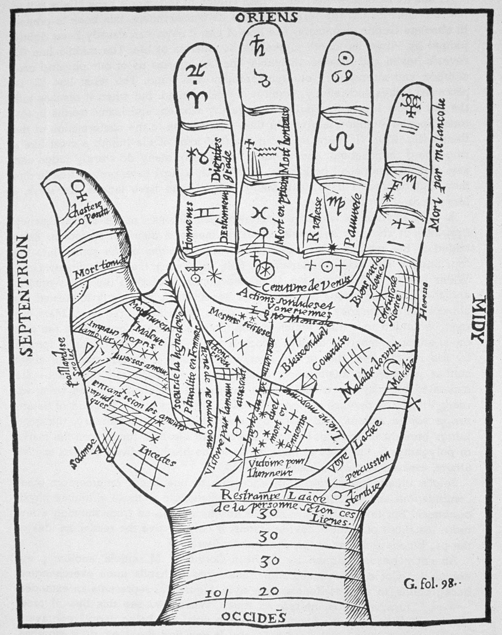 The Left Hand, kopia av ett diagram efter Jean Belot, Oevres, Lyon 1649, använd i en magihistoria, publicerad i slutet av 1800-talet av French School