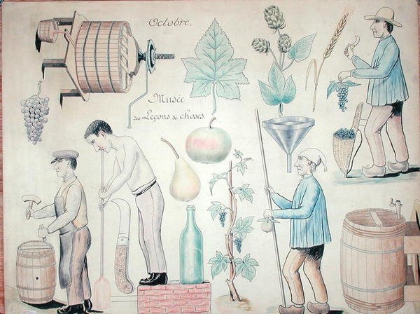 Oktober månad: Vinproduktion (penna & bläck och färgpenna på papper) av French School