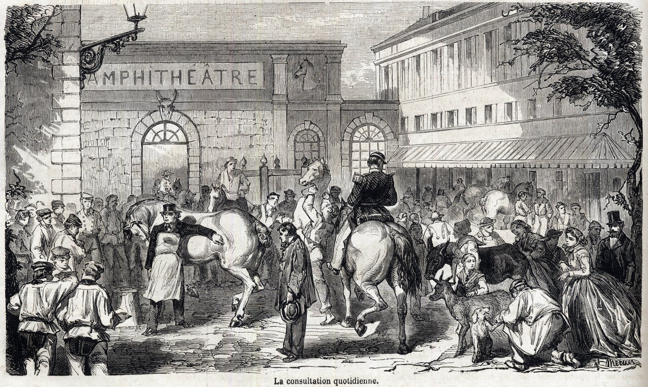 National Veterinary School of Alfort - Les grandes écoles de France - Veterinärskola i Maison Alfort 1866 - Den dagliga konsultationen - Gravyr i "Le monde illustrious"" från 1866 av French School