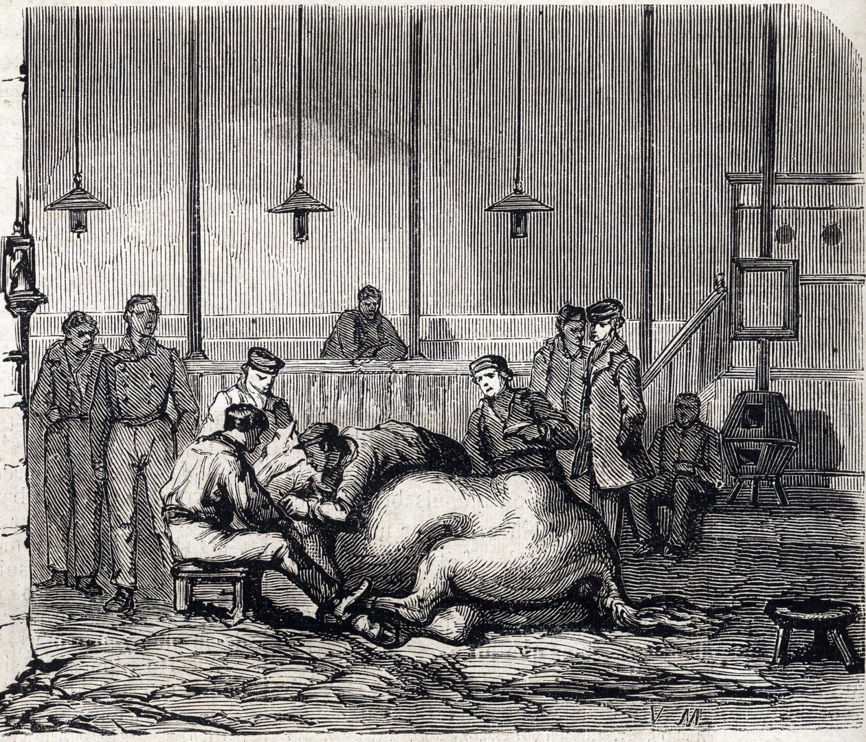 National Veterinary School of Alfort - Les grandes écoles de France - Veterinärskola i Maison Alfort 1866 - Dissektionsrummet - Gravyr i "Le monde illustrious" från 1866 av French School