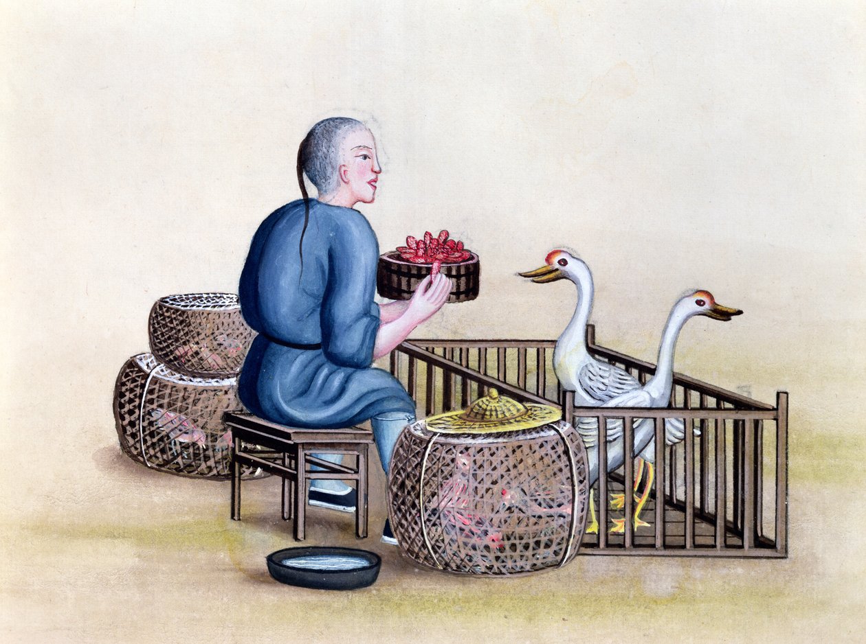 The Poultry Merchant, från en bok om Pekings gatan, ca 1785 (wc och gouache på papper) av French School