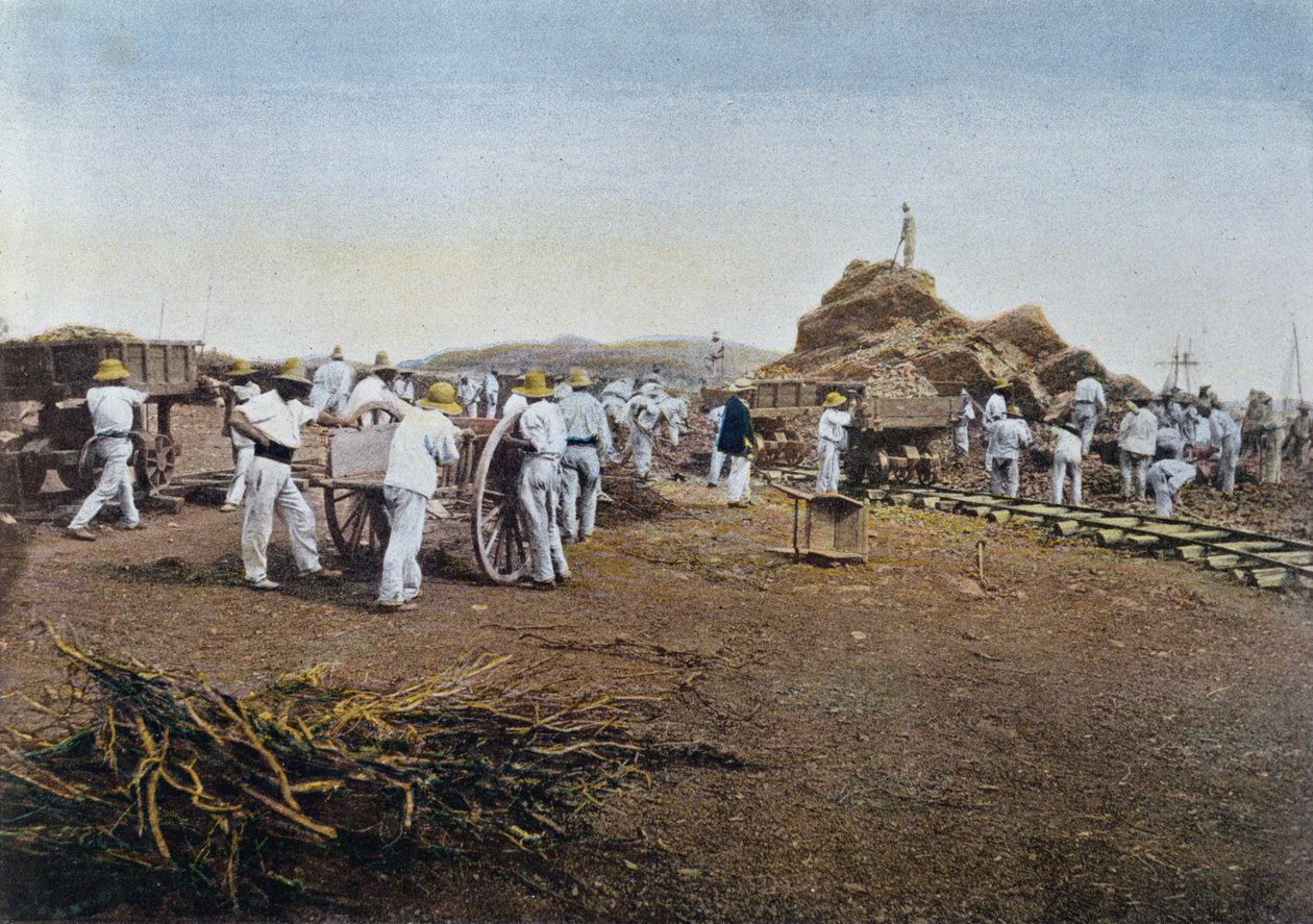 Fångarna i arbete vid straffkolonin Noumea i Nya Kaledonien, graverade av Gillot, ca 1900 av French School