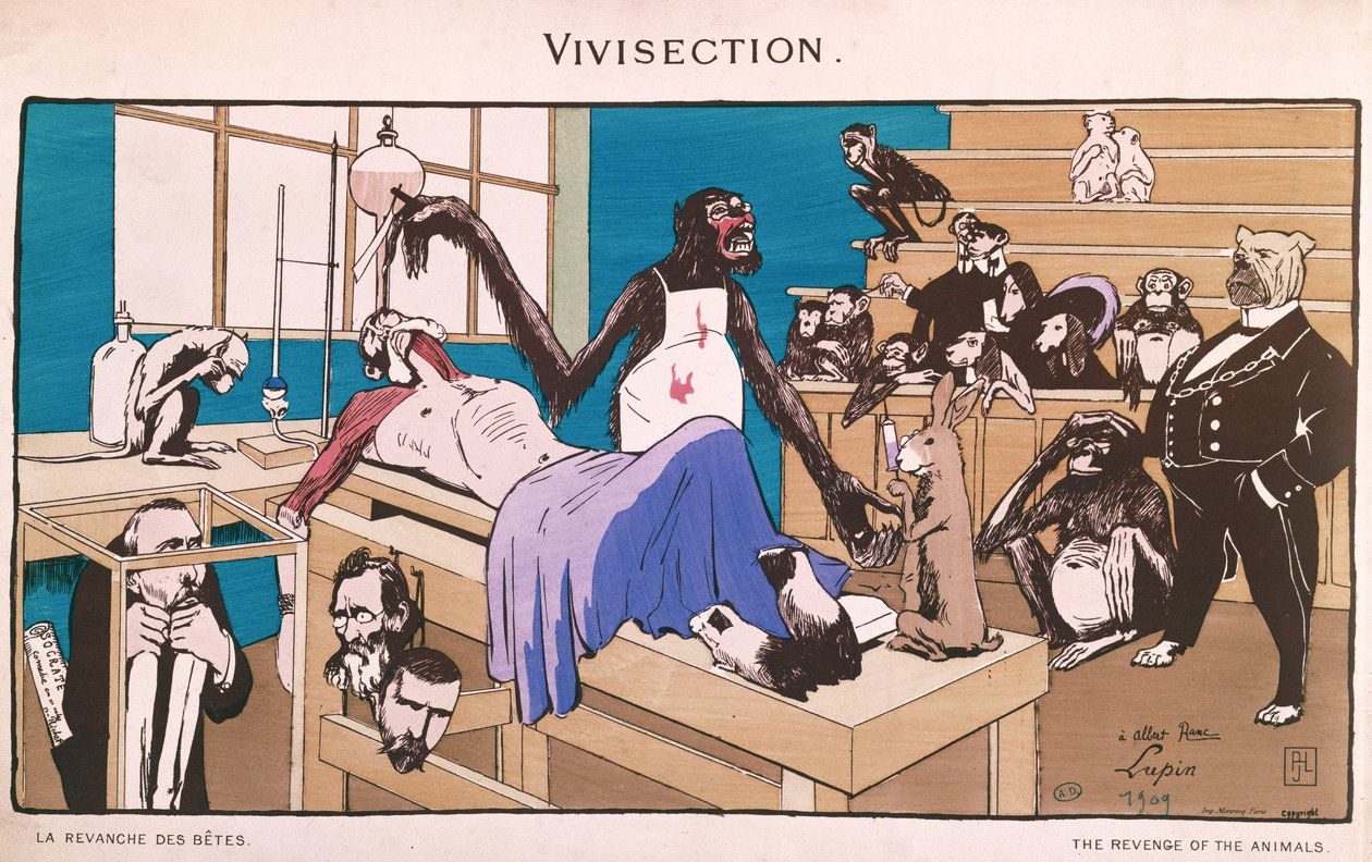 Djurens hämnd, karikatyr av vivisektion, 1909 av French School