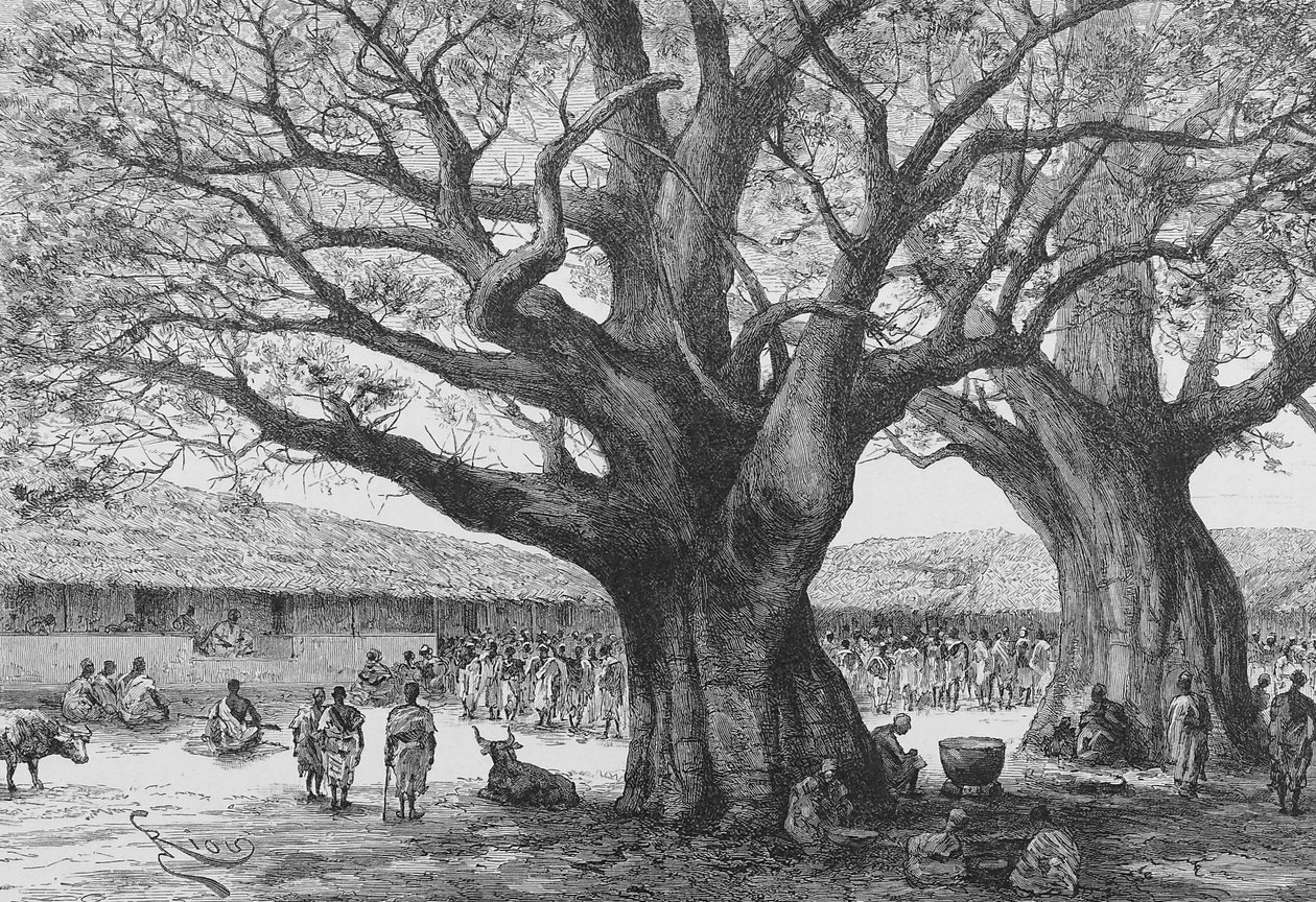 Det kungliga residenset i Aouabou, illustration från "Du Niger au Golfe de Guinee...", av Louis Gustave Binger, 1892 av French School