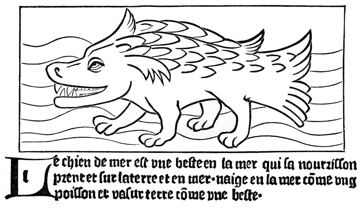 "Sjöhunden" av French School