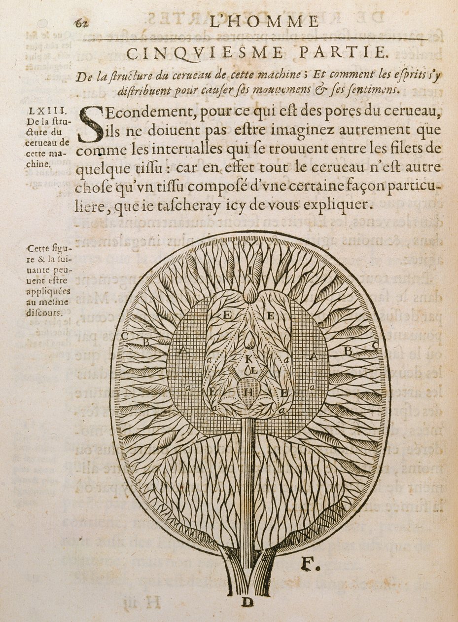 The Structure of the Brain, från De Homine Figuris av Rene Descartes (1596-1650) publicerad i Haag, 1662 av French School