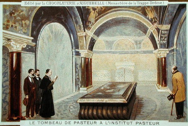 Louis Pasteurs (1822-95) grav i l