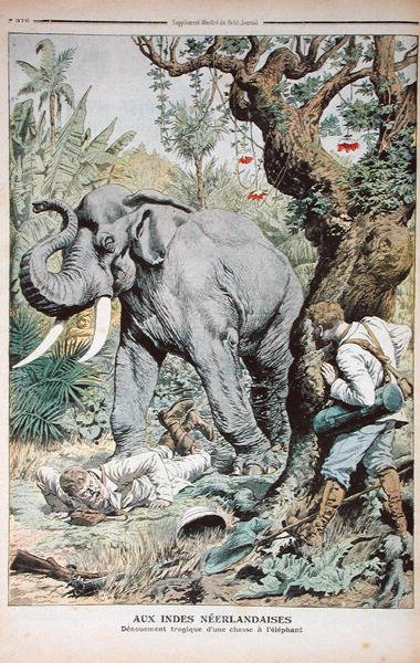 The Tragic End of an Elephant Hunt in India, illustration från Le Petit Journal, 25 november 1906 av French School