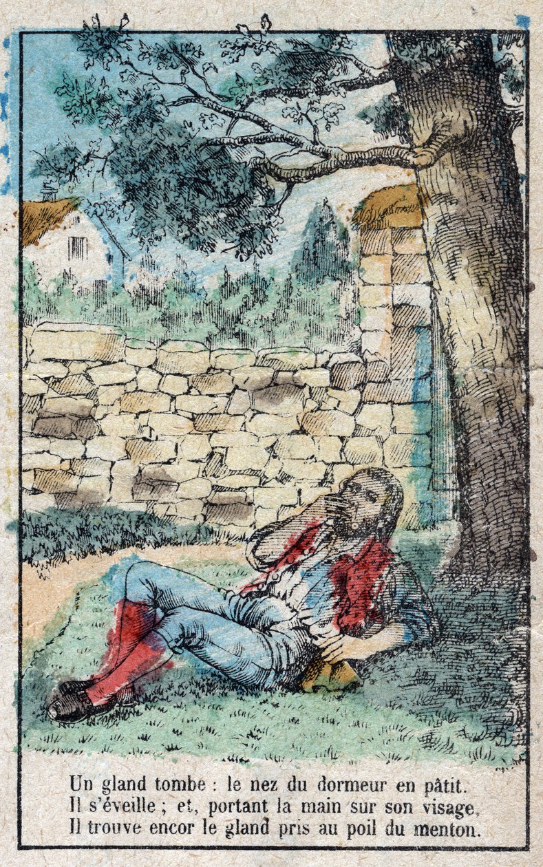 Ekollonen och pumpan. Fabler av Jean de La Fontaine (1621-95). Avbildning av Epinal från slutet av 1800-talet. av French School
